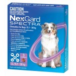 Nexgard Spectra Large 33 - 66 lbs