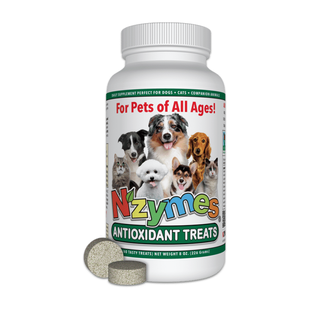 Antioxidant Treats for Pets